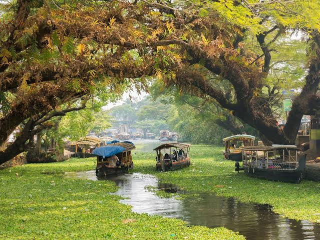 Kerala tea hills and backwaters